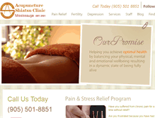 Tablet Screenshot of acupunctureshiatsuclinic.com